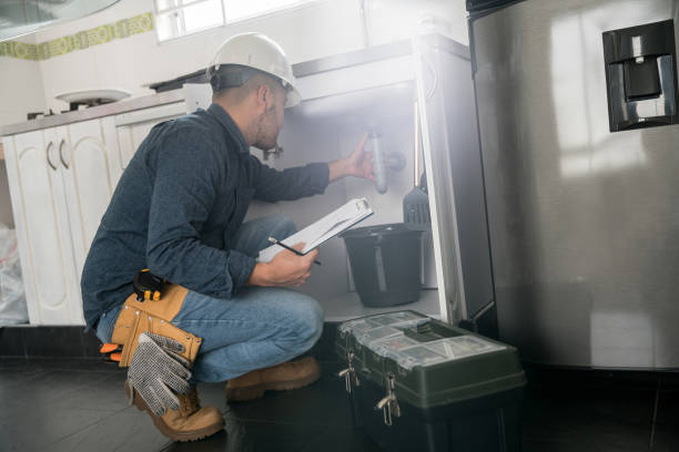 Best Toilet Repair Services  in Albert Lea, MN
