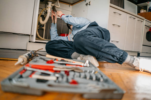 Best Affordable Plumbing Services  in Albert Lea, MN