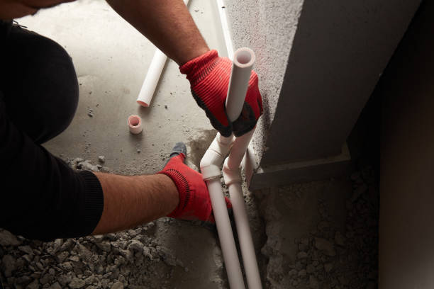 Best Commercial Plumbing Services  in Albert Lea, MN