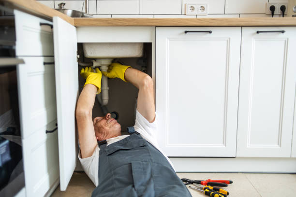 Best Plumbing Repair Near Me  in Albert Lea, MN