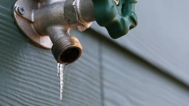 Best Local Plumber Services  in Albert Lea, MN