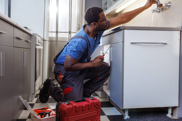 Best 24-Hour Plumber Near Me  in Albert Lea, MN