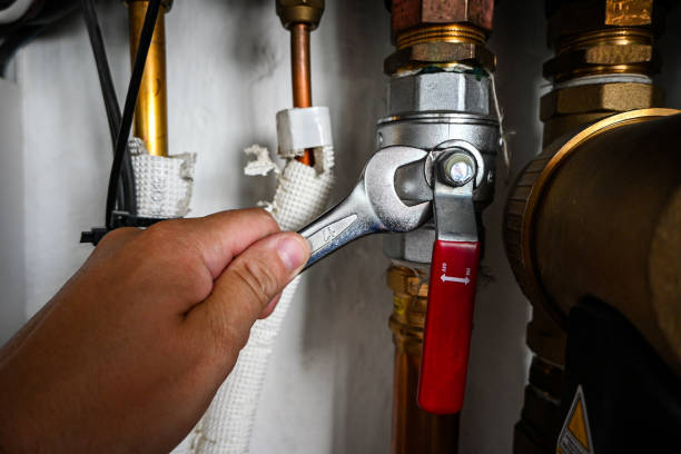 Best Shower Repair Services  in Albert Lea, MN